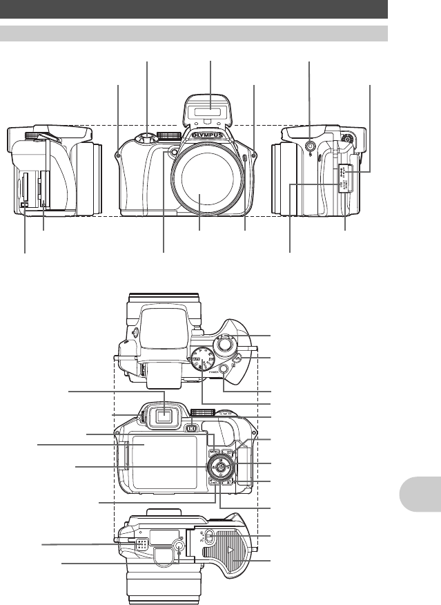 Illustration: Olympus Digital Camera SP-560UZ Instruction Manual and Quick Start Guide, Page 87